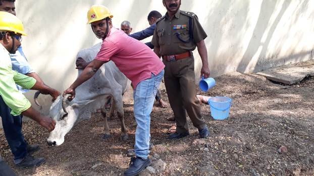 ଏମବିବିଏସ ଡାକ୍ତରଙ୍କ ମଣିଷ ପଣିଆ