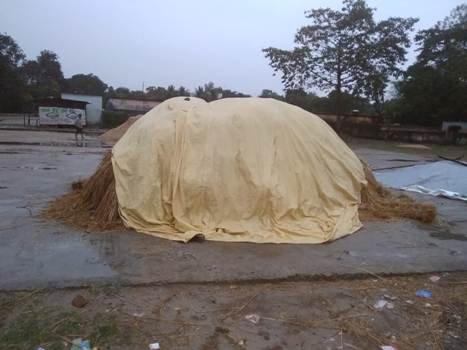 ଅଦିନିଆ ବର୍ଷାରେ ପାଚିଲା ଧାନ ପ୍ରଭାବିତ