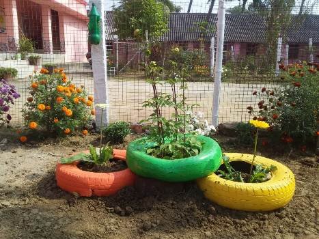 ଅଦରକାରୀ ଜିନିଷରେ ସଜା ଗଲା ବିଦ୍ୟାଳୟ ବଗିଚା