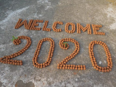 ସିଡ୍‌ବଲ୍ ରେ ନୂଆବର୍ଷକୁ ନିଆରା ସ୍ୱାଗତ