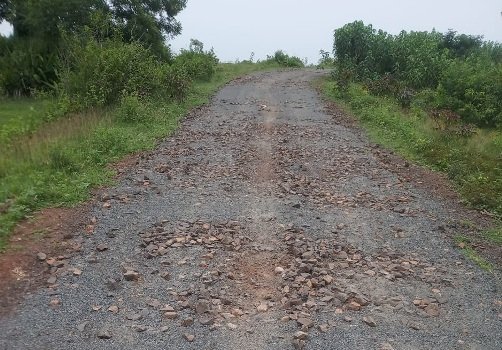 ଦନେଇପୁର ରାସ୍ତା ଅଧାପନ୍ତରିଆ ନିର୍ମାଣ କରି ଠିକାଦାର ଛୁ, 