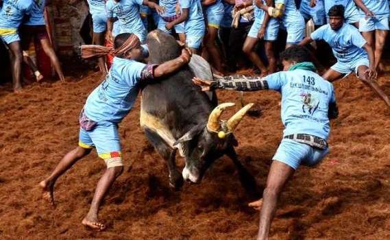 ଜାଲିକାଟ୍ଟୁରେ ଗଲାଣି ୫ ଜୀବନ