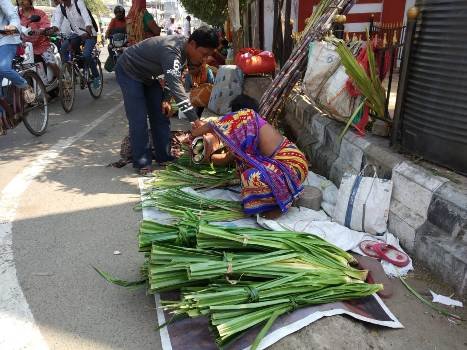 ମହାଶିବରାତ୍ରୀ ପାଇଁ କେତକୀ ଫୁଲ ଅମୁଲ ମୂଲ