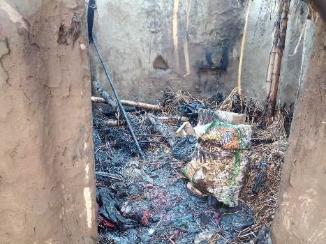 ଗୋଟିଏ ଦିନରେ ପୃଥକ ପୃଥକ ଅଗ୍ନିକାଣ୍ଡ, ୨ ଗୋରୁ ଜୀବନ୍ତ ଦଗ୍ଧ