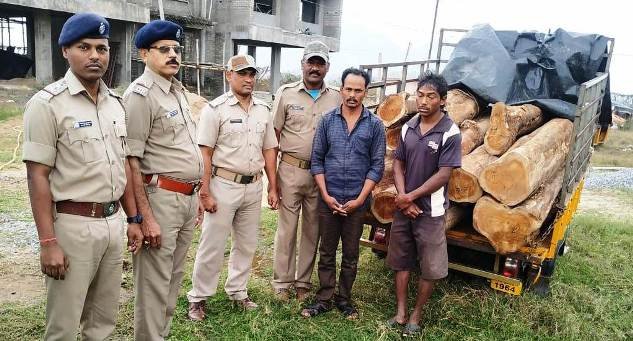 ଆନ୍ଧ୍ରକୁ ଚାଲାଣ ବେଳେ ସାଗୁଆନ କାଠ ଜବତ ୨ଗିରଫ
