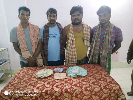 ଚାରି ଜୁଆଡି ଗିରଫ