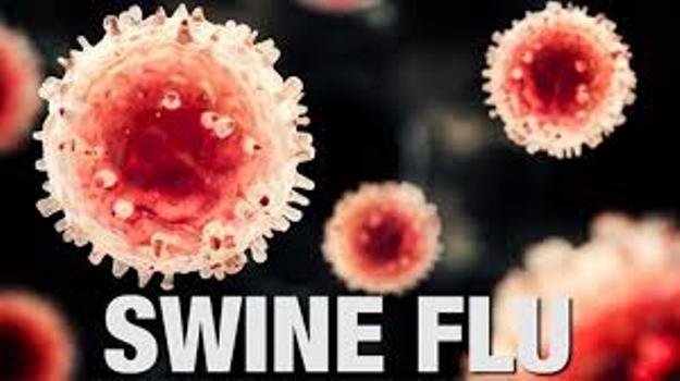 ରାଜ୍ୟରେ ଚିହ୍ନଟ ହେଲା ପ୍ରଥମ ସ୍ବାଇନ୍ ଫ୍ଲୁ ରୋଗୀ