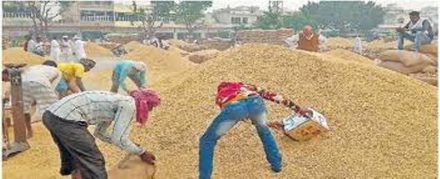 ଓସ୍ତପୁର ସୋସାଇଟିରେ ମଣ୍ଡିଧାନ ସଂଗ୍ରହରେ ବିଳମ୍ବ ଅଭିଯୋଗ