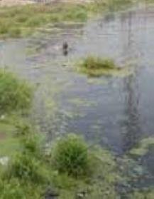 ପୋଖରୀରୁ ବୃଦ୍ଧଙ୍କ ମୃତଦେହ ଉଦ୍ଧାର