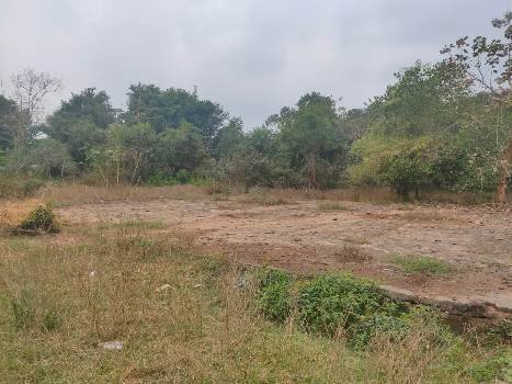 ଖୋଲା ମଳତ୍ୟାଗ ଉପରେ କଟକଣା ଜିରୋ !