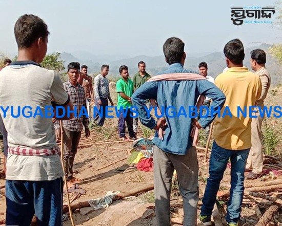 ଲାଞ୍ଜିଗଡ଼ ବ୍ଲକରେ ପୁଣି ହାତୀ ଉପଦ୍ରବ୍ୟ:ଘର ଭାଙ୍ଗିବା ସହ ଧାନ ଚାଉଳ ନଷ୍ଟ କଲେ