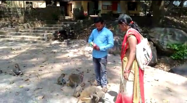 ଭୋକିଲା ମାଙ୍କଡଙ୍କୁ ଖାଦ୍ୟ ବାଣ୍ଟିଲେ ପରିବାର ଲୋକେ