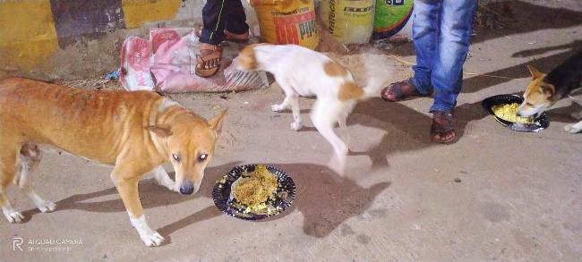 ବୁଲା ପ୍ରାଣୀ ଏବଂ ମାନସିକ ଅକ୍ଷମ ଙ୍କୁ ରନ୍ଧାଖାଦ୍ୟ