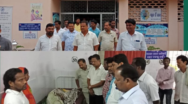 ବାରହା ଆକ୍ରମଣରେ ଜଣେ ମହିଳା ଆହାତ