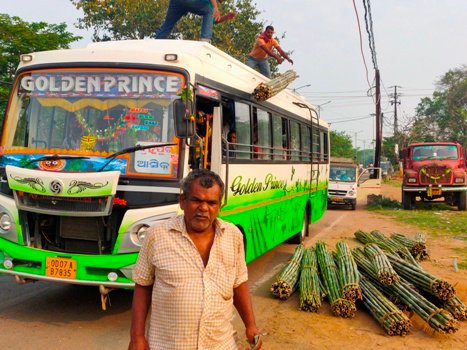 ଘରୋଇ ଯାତ୍ରୀବାହୀ ବସ ଯୋଗେ ବାଉଁଶ ଚୋରା ଚାଲାଣ