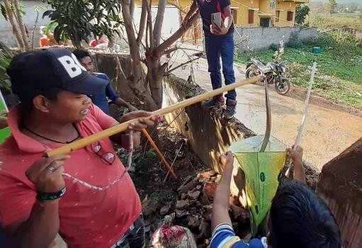 ଆଜାଦବସ୍ତିରୁ ବିଷଧର ସାପ ଉଦ୍ଧାର