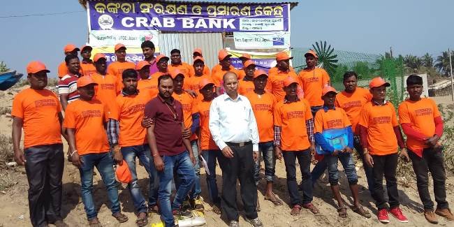 ସାନନୋଳିଆ ନୂଆଗାଁ ଠାରେ କଙ୍କଡା ସଂରକ୍ଷଣ ଓ ପ୍ରସାରଣ କେନ୍ଦ୍ର ସ୍ଥାପିତ