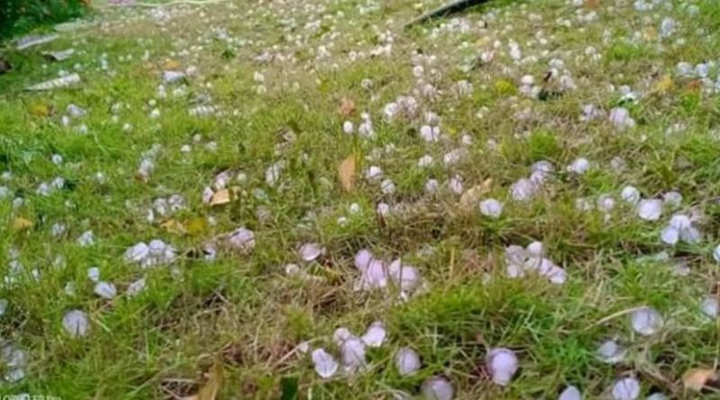 ଅଦିନିଆ ବର୍ଷା ସାଙ୍ଗକୁ କୁଆପଥର ମାଡ଼