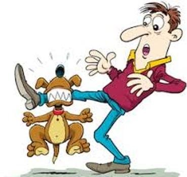 ଦାଦା ବଟିକୁ କେନ୍ଦ୍ର କରି ଟେନ୍ଟ ମାଲିକଙ୍କୁ ମରଣାନ୍ତକ ଆକ୍ରମଣ ଉଦ୍ୟମ