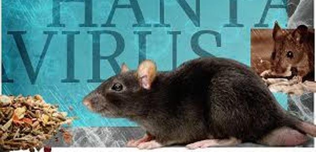 ଚୀନରେ  ‘ହନ୍ତା ’ ଭାଇରସରେ ଜଣେ ମୃତ୍ୟୁ