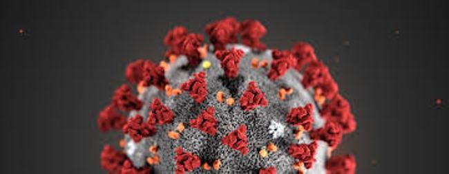 କରୋନା (କୋଭିଡ-୧୯) ପାଇଁ ଅତିରିକ୍ତ ମାର୍ଗଦର୍ଶିକା