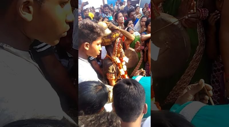ପ୍ରସିଦ୍ଧ ମାଁ ଏଲମା ଠାକୁରାଣୀ ଙ୍କ ବାର୍ଷିକ ଝାମିଯାତ୍ରା