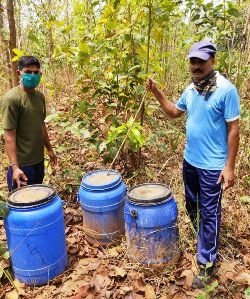 ଅବକାରୀ ମୋବାଇଲ୍ ସ୍କ୍ୱାଡ ଚଢାଉ,ଚୋରା ମଦ ଜବତ