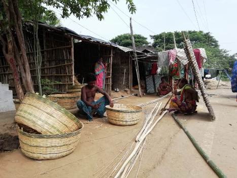 ପୁରୁନି ପେଟ : ଛାଡ଼ି ହେଉନି କୂଳବେଉସା