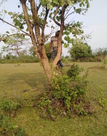 ପଣସ ଗଛରେ ଫାଶୀ ଲଗାଇ ଜୀବନ ହାରିଲେ ଦିନ ମଜୁରିଆ