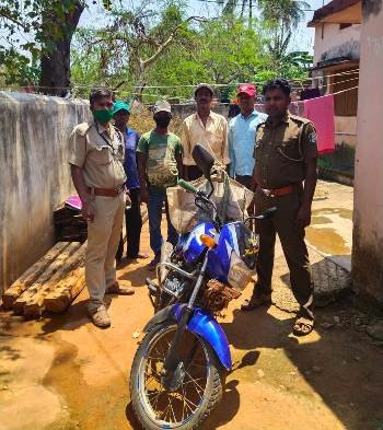 ବୁଗୁଡା ବନ ବିଭାଗ ପକ୍ଷରୁ ବାରହା ମାଂସ ସହ ବାଇକ ଜବତ