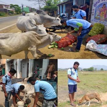 ଶ୍ରବଣ ସେବା ଅନୁଷ୍ଠାନ ପକ୍ଷରୁ ବୁଲା ଗାଇ ଓ କୁକୁରଙ୍କୁ ଖାଦ୍ୟ ବଣ୍ଟନ