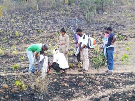 ଡୁଙ୍ଗରୀରେ ଲାଗିଲା ନିଆଁ। ନିୟନ୍ତ୍ରଣ କଲେ ବହଳଦା ରେଞ୍ଜ ବନ କର୍ମଚାରୀ