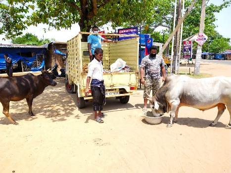 କୋଣାର୍କ ରେ ପଶୁପକ୍ଷୀ ଙ୍କ ଲାଗି ଦେବଦୂତ ସାଜିଲେ ସରପଞ୍ଚ