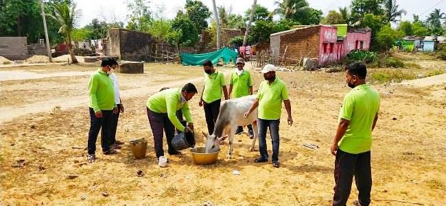 ବୁଲା ପଶୁ ପକ୍ଷୀ ମାନଙ୍କୁ ଖାଦ୍ୟ ବାଣ୍ଟିଲେ କୋଣାର୍କ ସାମ୍ବାଦିକ ସଂଘ