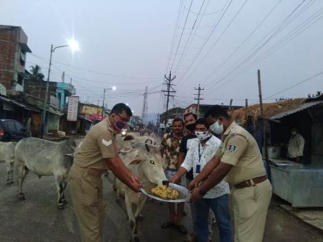 ବେଲଗୁଣ୍ଠା ପ୍ରେସ୍ କ୍ଳବ ଓ ବେଲଗୁଣ୍ଠା ପୋଲିସ ମିଳିତ ସହଯୋଗରେ ଗାଇଗୋରୁ ଓ କୁକୁରଙ୍କୁ ରନ୍ଧା ଖାଦ୍ୟ ବଣ୍ଟନ