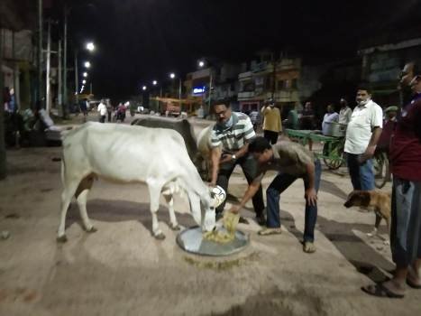 ଗାଈଗୋରୁଙ୍କୁ ରନ୍ଧା ଖାଦ୍ୟ ବଣ୍ଟନରେ ସାମିଲ ହେଲେ ବେଲଗୁଣ୍ଠା ପୋଲିସ ଓ ପ୍ରଶାସନିକ ଅଧିକାରୀ