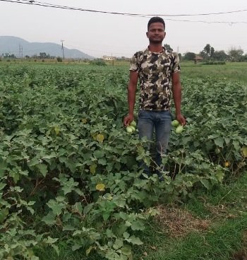 ଆସୁ ନାହାନ୍ତି ବେପାରୀ, ବିକ୍ରୀ ହୋଇପାରୁନୀ ପରିବା, ଚିନ୍ତାରେ ଚାଷୀ