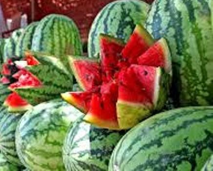 କରୋନା ପ୍ରଭାବ : ଫାଷ୍ଟଫୁଡ଼ ଦୋକାନ ପାଲଟିଲା ତରଭୁଜ ଦୋକାନ