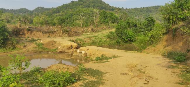 ଗୁଣ୍ଡ୍ରିଗୁଡା ଗ୍ରାମବାସୀ ନିର୍ମାଣ କରିଥିବା ଅସ୍ଥାୟୀ ପୋଲ ଅଦିନିଆ ବର୍ଷାରେ ଧୋଇ ଗଲା