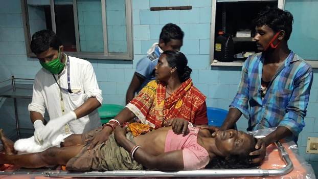 ହାତୀ ଆକ୍ରମଣରେ ଅଳ୍ପକେ ବର୍ତ୍ତିଲେ ମହିଳା,ମହିଳା ଗୁରୁତର