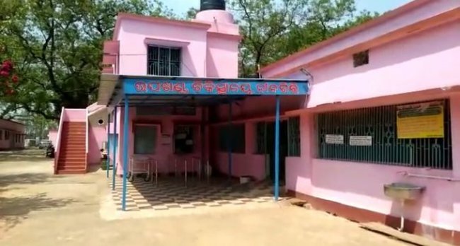 ଭାଲୁ ଆକ୍ରମଣରେ ମହିଳା ଗୁରୁତର