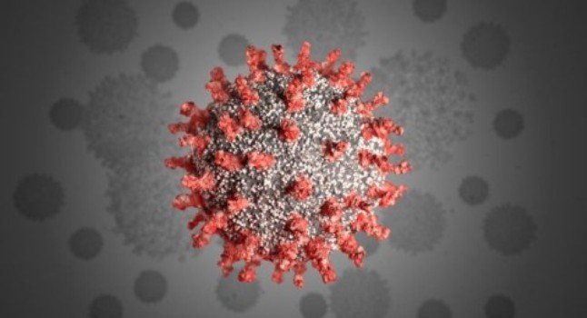 କନ୍ଧମାଳରେ ଆଉ ଜଣେ କରୋନା ପଜିଟିଭ