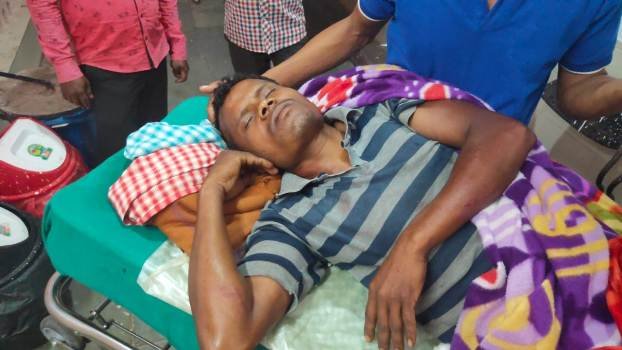 କାଜୁ ଗଛରୁ ପଡି ଜଣେ ଗୁୁରୁତର