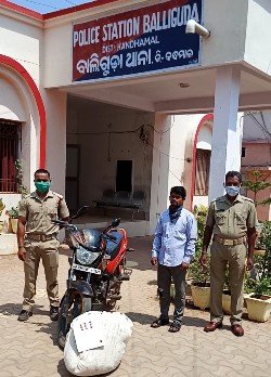 ଗଂଜେଇ ସହ ବାଇକ ଜବତ ଜଣେ ଗିରଫ