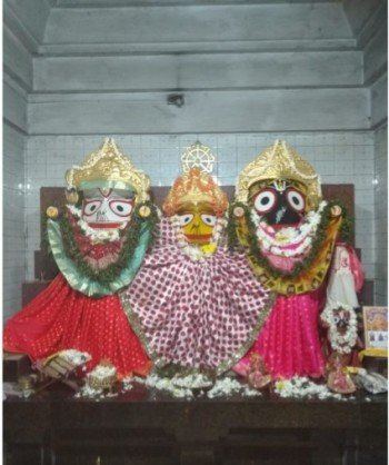 ବ୍ରହ୍ମକମଳ ଫୁଲ ଜଗନ୍ନାଥ ମନ୍ଦିରରେ ଅର୍ପଣ