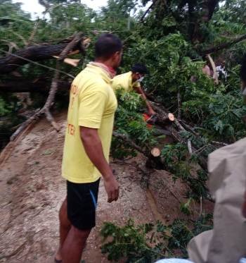 ନାଉଗାଁ ବ୍ଳକରେ ବାତ୍ୟା ଅମ୍ଫାନର ପ୍ରଭାବ