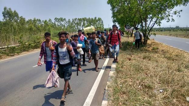 ପାଦଚଲାରେ ଆନ୍ଧ୍ରର ବିଜୟଓା୍ୱଡାରୁ ଗଜପତି ଫେରୁଛନ୍ତି ୨୦ ଶ୍ରମିକ