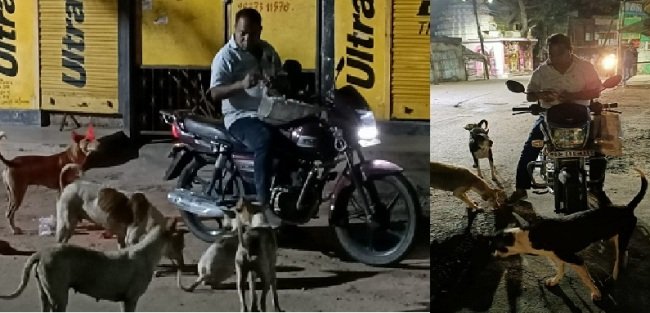 ସମାଜସେବୀଙ୍କ ଲକଡାଉନ ବେଳେ ବୁଲା କୁକୁରଙ୍କୁ ଖାଦ୍ୟ