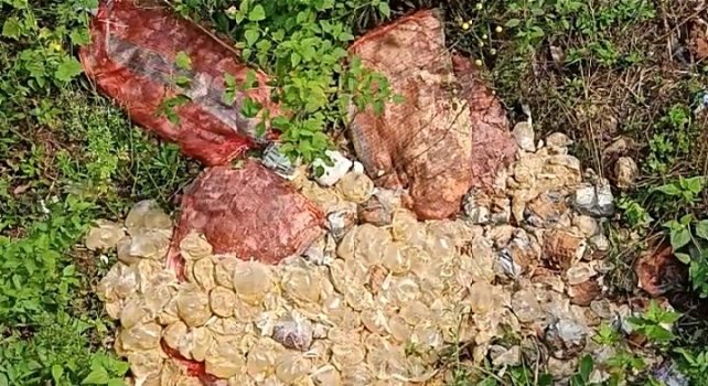 ପ୍ରବାସୀଙ୍କୁ ମିଳୁନି ଖାଦ୍ୟ ଫିଙ୍ଗା ହେଉଛି ରାସ୍ତା କଡରେ ,ଟଙ୍କା ଲୁଟିବାରେ ବସିଛନ୍ତି ଅଧିକାରୀ