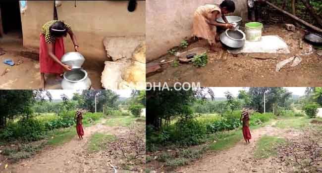ଅସହାୟ ଵାଲ୍ଲୀ କୁ ସହୟ କିଏ ?